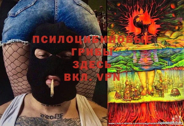 мдпв Белокуриха