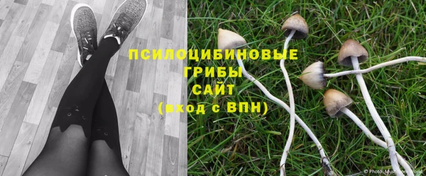мескалин Белоозёрский