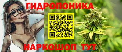 apvp Нальчик