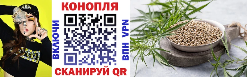 Шишки марихуана план  Губкинский 